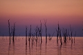  lac Kariba, Zimbabwe, afrique, crépuscule 