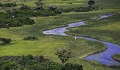  Botswana, delta de l'Okavango 