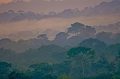 Au nord du Mato Grosso, commence l'immense forêt ; la diversité végétale est stupéfiante, lianes et arbres s'entremêlent. brésil 
 canopée
 forêt amazonienne 
Mato Grosso, Thierry Duval, photographe 